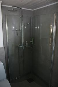 BlidsbergDrängstugan i Humla的带淋浴的浴室和玻璃门