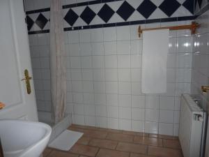 沃尼奥尔茨沃什海吉Fészek Apartmanház的带浴缸、卫生间和盥洗盆的浴室