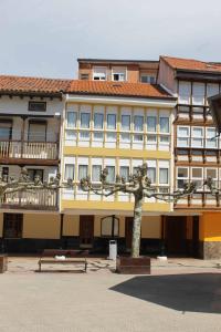 安普埃罗Crisol Plaza的前面有树的黄色建筑