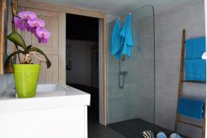 纳萨雷特Apartamento Las Palmeras Nazaret的浴室设有绿盆植物淋浴