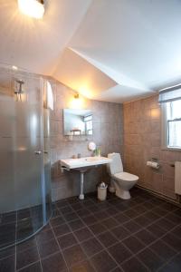 InsjönInsjöns Hotell的浴室配有卫生间、盥洗盆和淋浴。