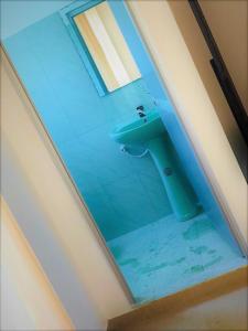 马特勒Samanala Resort的客房内的浴室设有蓝色水槽
