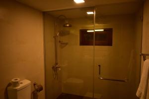 努沃勒埃利耶山丘度假屋的浴室设有玻璃淋浴间和卫生间
