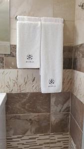 鲁塞Jorela Family Hotel的浴室墙上挂着两条毛巾
