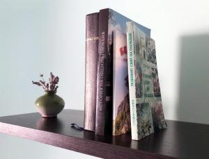 普罗夫迪夫Kamenitza Guest Flat的三本书,藏在书架上,有花瓶