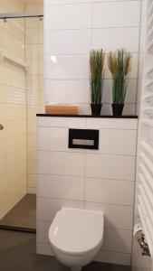 比伦Osborg State的一间带卫生间和两盆植物的浴室