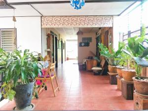 达叻府班嘉德旅馆的一条充满了许多盆栽植物的走廊
