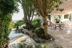 圣费利切-奇尔切奥La Bouganville的一个带树木和桌椅的庭院