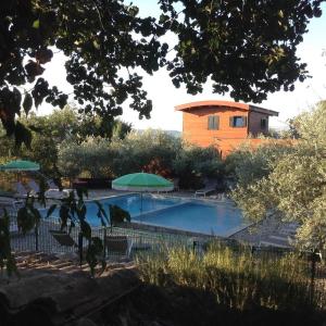 沃格于埃Roulottes et Cabanes de Saint Cerice的一座带两把绿色遮阳伞的游泳池和一座建筑