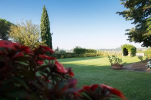 锡耶纳里希博尔戈别墅酒店的花园内种有绿草和红色花卉