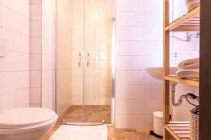 捷克克鲁姆洛夫家庭旅馆的带淋浴、卫生间和盥洗盆的浴室