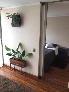 伊基克Espacio Norte - Iquique Cavancha的一间卧室配有一张床和盆栽植物