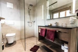 齐勒河谷采尔塔克希霍夫活跃酒店的一间带卫生间和玻璃淋浴间的浴室