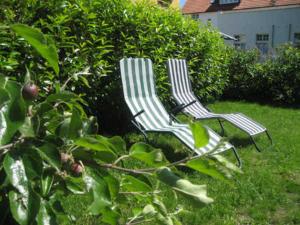 奥斯赛拜-塞林Pension Waldrose的两把椅子坐在院子里的草地上