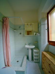 潘札诺damario panorama的一间带水槽和淋浴的浴室
