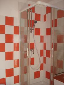 RégatGîte du Tarbésou的浴室铺有红色和白色瓷砖,设有淋浴。