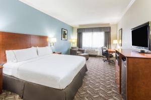 查尔斯湖查尔斯湖智选假日套房酒店的酒店客房设有一张大床和一台电视。