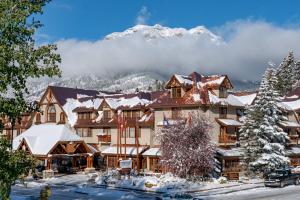 班夫班夫驯鹿住宿温泉酒店的雪中小屋,背景是一座山
