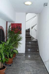 文西德尔Hotel Albergo Mamma Rosa的楼里栽有盆栽植物的楼梯