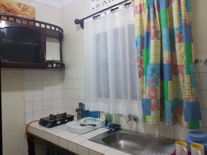 恩德培Wemofa Pad Self-Catering Apartment的带水槽的厨房台面和窗户