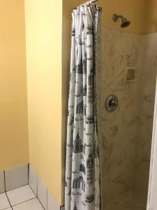 埃斯孔迪多Hacienda Motel的浴室内配有淋浴帘。