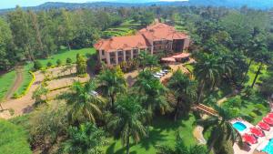 MbaleMbale Resort Hotel的棕榈树度假村的空中景致
