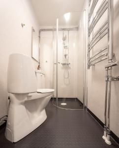 阿比斯库Abisko Hostel的白色的浴室设有卫生间和淋浴。