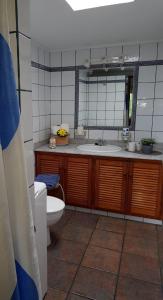 洛斯·亚诺斯·德·阿里丹Casa Óscar的一间带水槽、卫生间和镜子的浴室