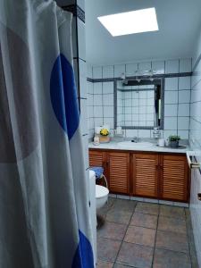 洛斯·亚诺斯·德·阿里丹Casa Óscar的一间带卫生间、水槽和镜子的浴室