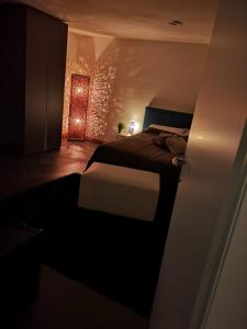维亚格兰德ROOM33的一间黑暗的房间,配有一张床和一盏灯