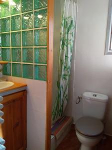 圣沙夫雷studio isabelle的一间带卫生间和淋浴帘的浴室