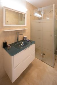 Giv'ot BarDesertB的一间带水槽和淋浴的浴室