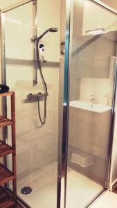 科克赛德Castel aan zee的带淋浴和盥洗盆的浴室