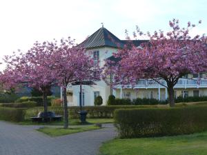 宾茨Dünenpark in Binz für Eltern und Kind的前面有粉红色花卉的白色房子
