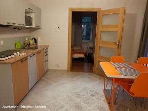 Apartamenty Zdrojowe的厨房或小厨房