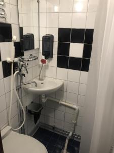 斯德哥尔摩Rygerfjord Hotel & Hostel的一间带水槽和卫生间的浴室