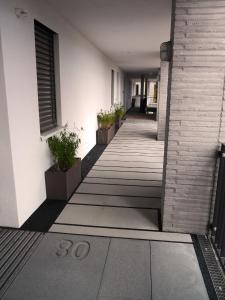茨文考Z1-Das Haus的建筑一侧的走廊上,有盆栽植物