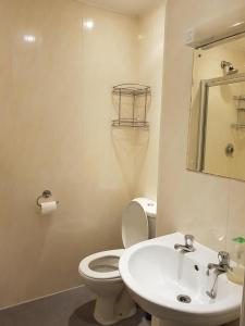 雷丁Blagrave Rooms的一间带卫生间、水槽和镜子的浴室