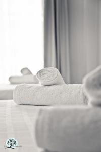 帕拉利亚狄奥尼索Hotel Melissanthi的床上一双毛巾