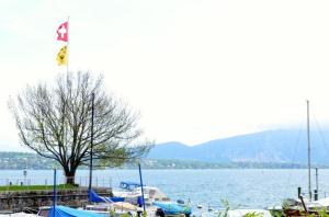 Bellevue库特奇餐厅酒店的船在水体上悬挂的旗帜