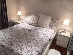 圣日耳曼昂莱bel appartement chic et cosy 78100的一间卧室配有一张带2个床头柜和2盏灯的床。
