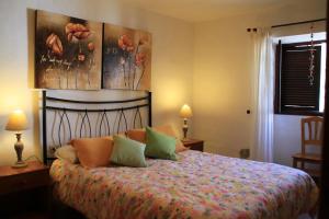 蒂哈拉费Casa Rural Los Abuelos的卧室配有一张床,墙上挂有绘画作品
