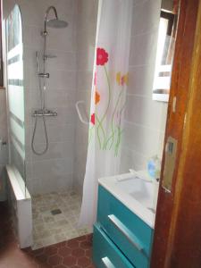 Habas基特哈巴斯酒店的带淋浴、盥洗盆和浴帘的浴室