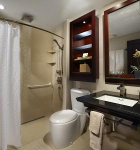 棕榈滩曼彻博海滩Spa度假酒店的浴室配有卫生间、淋浴和盥洗盆。