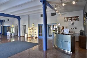 塔博尔德沃夏克塔博尔LH会议及康体酒店的站在一个蓝色柱子的大房间里柜台上的女人