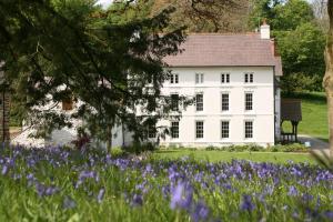 纳伯斯Grove of Narberth的白色房子前面有紫色的花