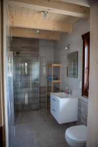 GolczowiceNa Dworosku的带淋浴、卫生间和盥洗盆的浴室