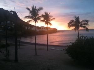 瓜伊马斯Hotel Playa de Cortes的棕榈树海滩上的日落