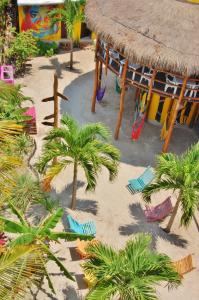 奥尔沃克斯岛特里布旅馆的一个带棕榈树和沙滩椅子的游乐场