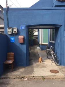 济州市Jeju Guesthouse的蓝色的建筑,有一只狗坐在门口